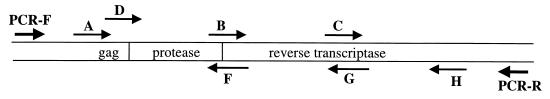 FIG. 1