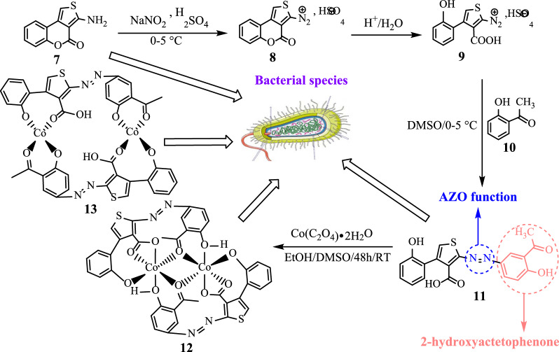 graphic file with name 13065_2024_1179_Figa_HTML.jpg