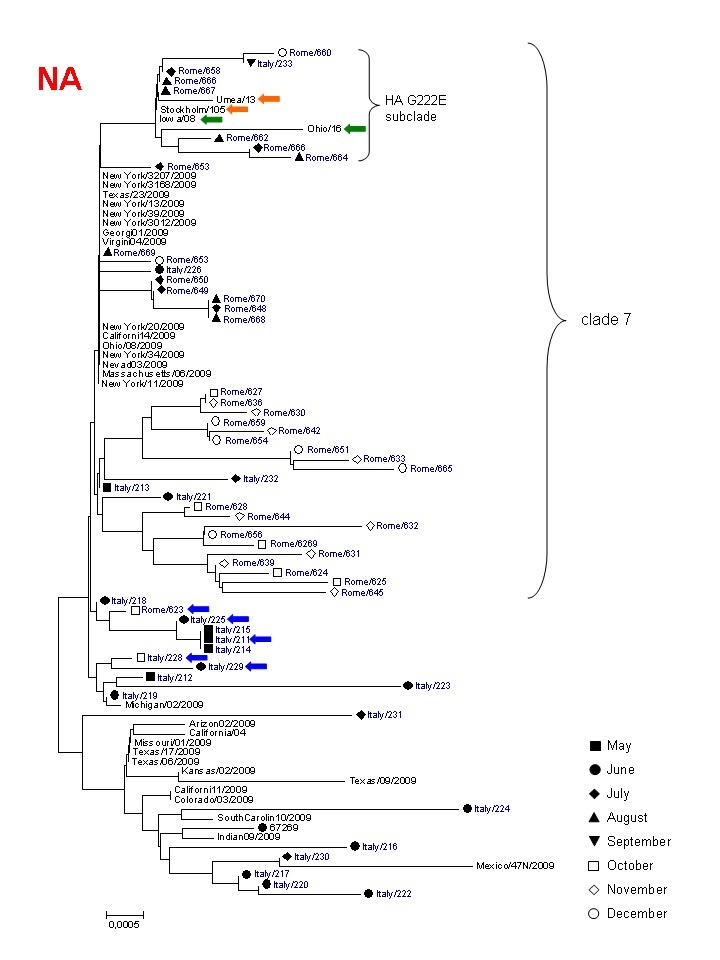 graphic file with name fig1b2.jpg