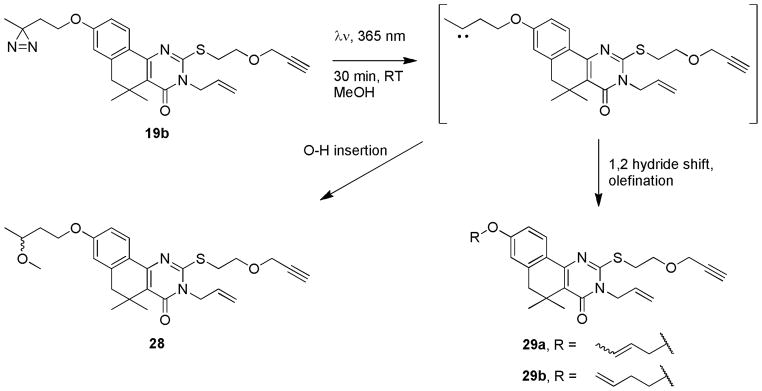 Scheme 5