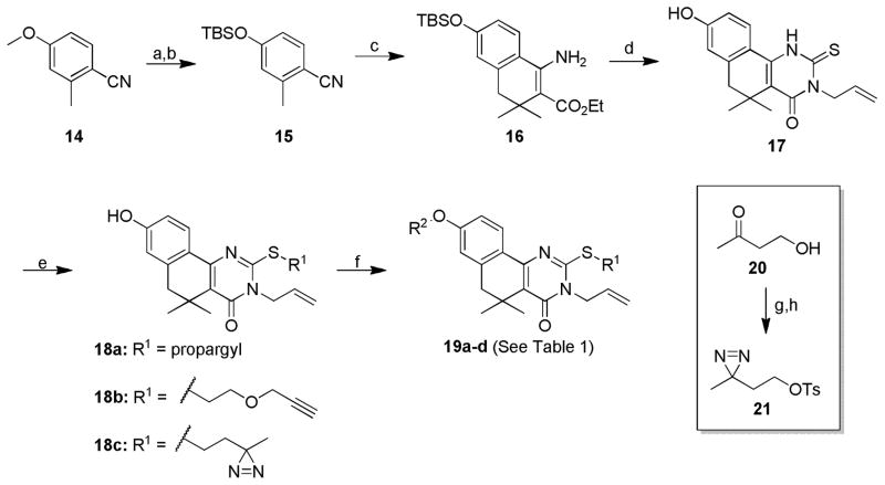 Scheme 3