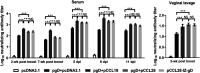 FIG 3