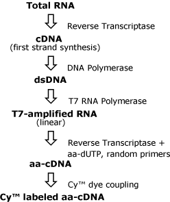 graphic file with name 1471-2164-6-61-i2.gif
