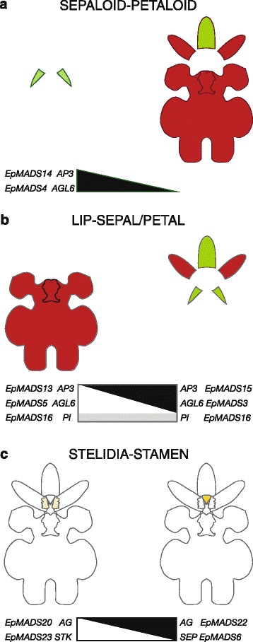 Fig. 10