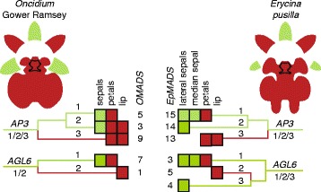 Fig. 11