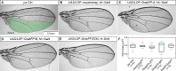 Figure 1—figure supplement 2.