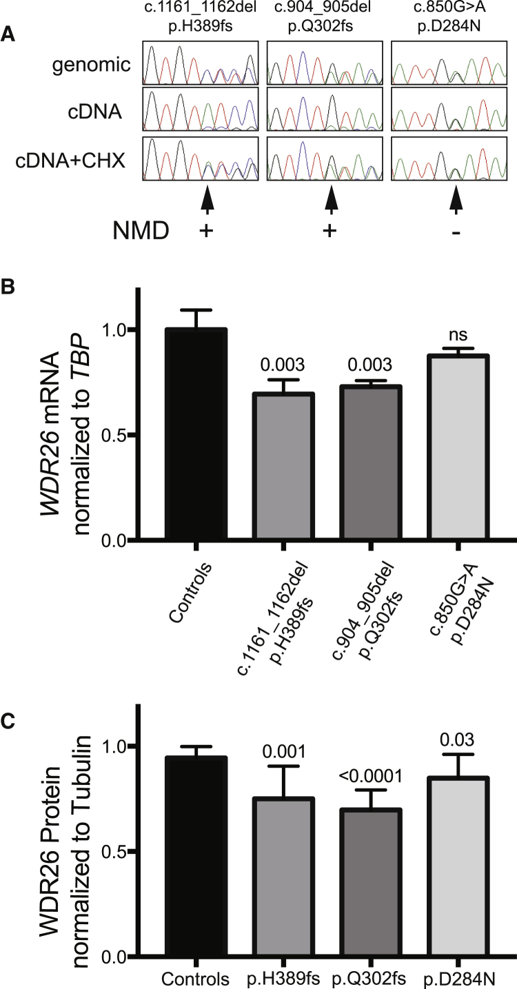 Figure 2