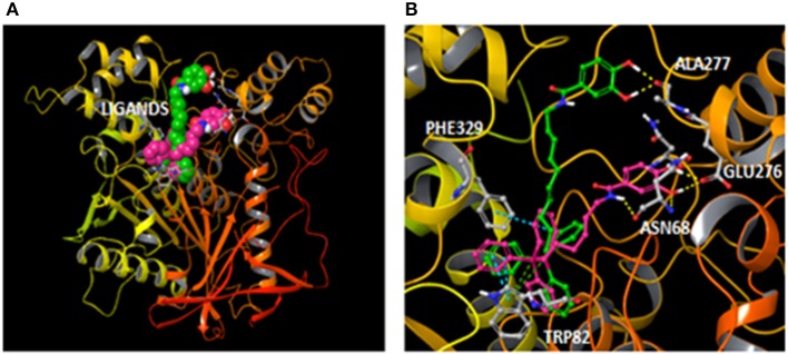 Figure 7