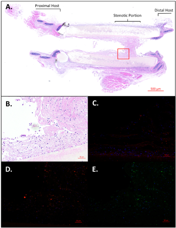 Figure 5: