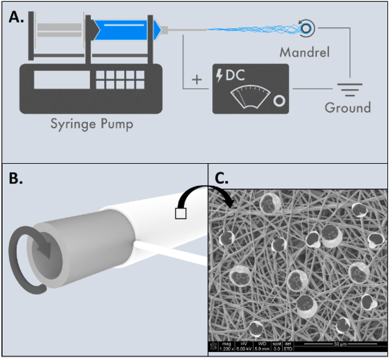 Figure 2: