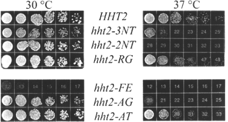 FIG. 3.