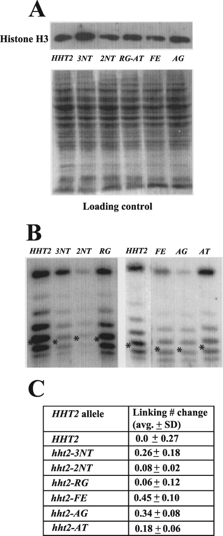 FIG. 5.