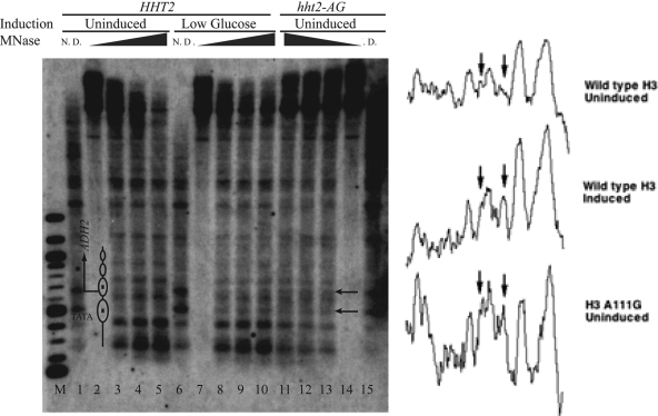 FIG. 7.