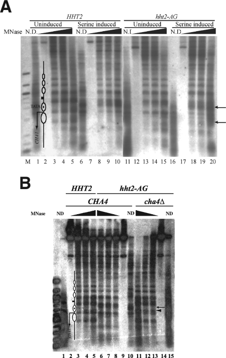 FIG. 6.