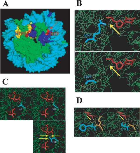 FIG. 9.