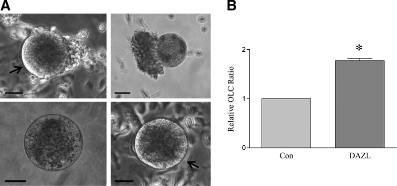 FIG. 8.