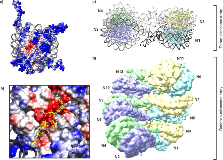 Figure 25