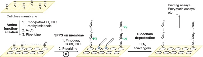 Figure 22