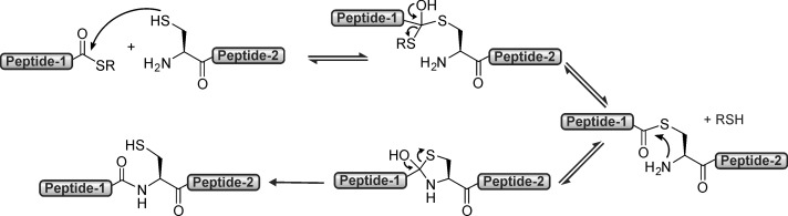 Figure 37