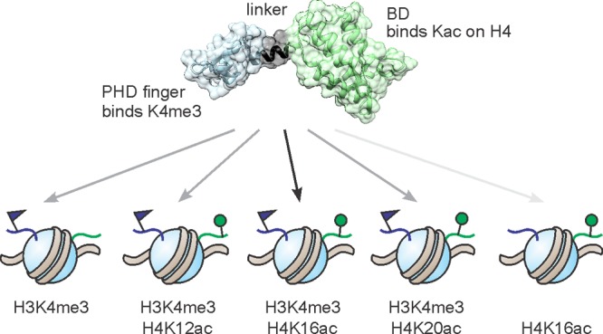 Figure 54