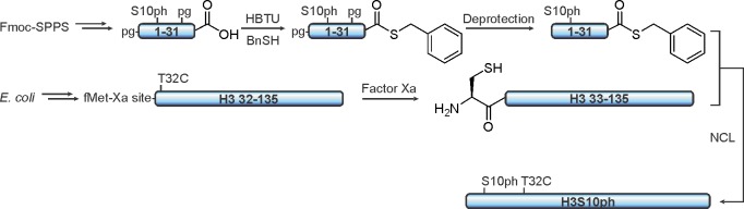 Figure 40