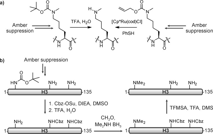 Figure 34