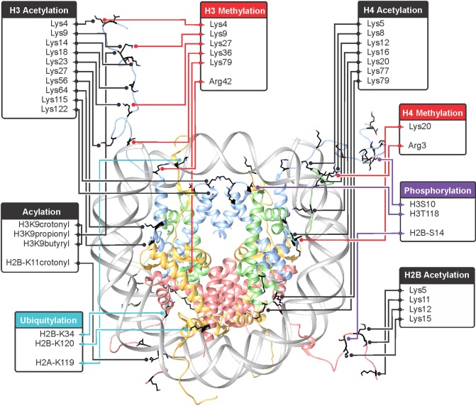 Figure 60