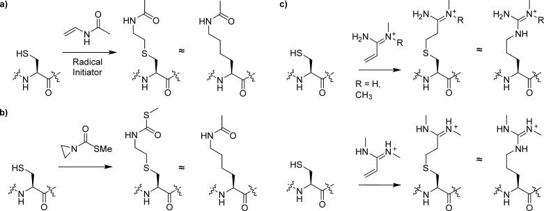 Figure 31