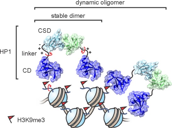 Figure 30