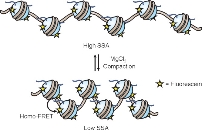 Figure 52