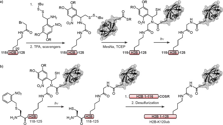 Figure 49