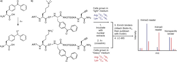 Figure 20