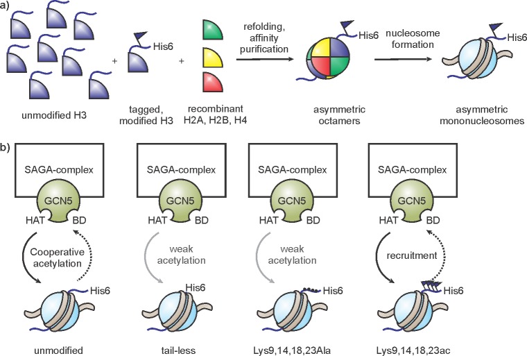 Figure 55