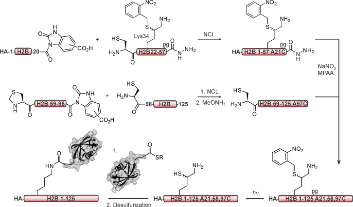 Figure 53