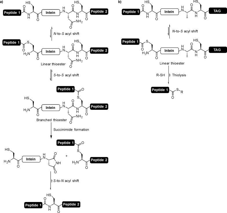 Figure 42