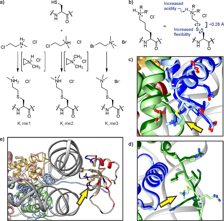 Figure 29