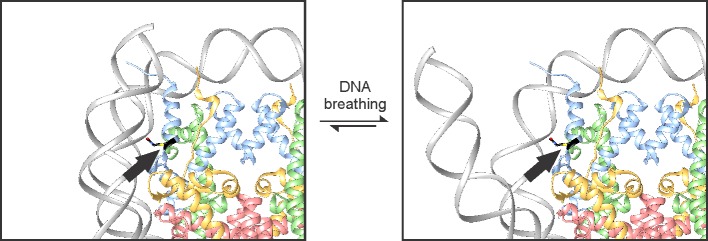 Figure 33