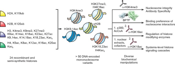 Figure 59