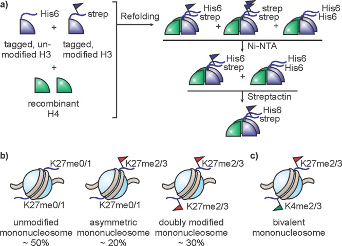 Figure 56