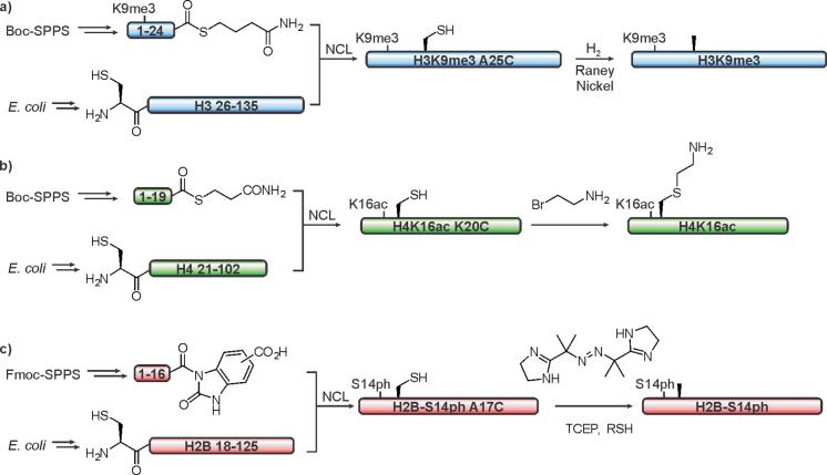 Figure 41