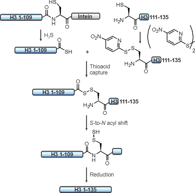 Figure 46