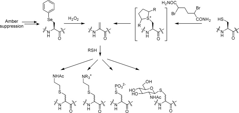 Figure 35