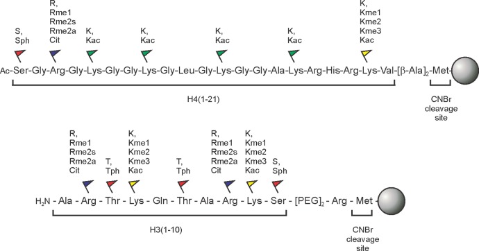 Figure 23