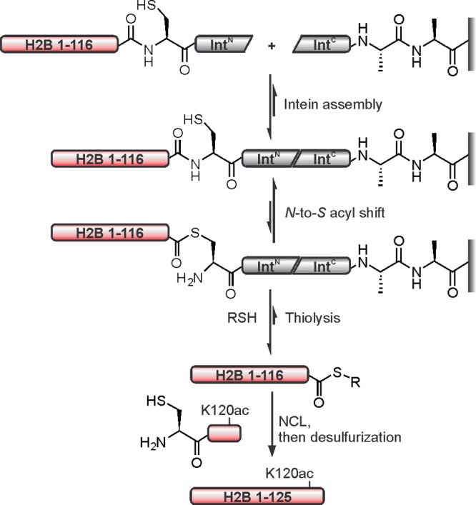 Figure 44