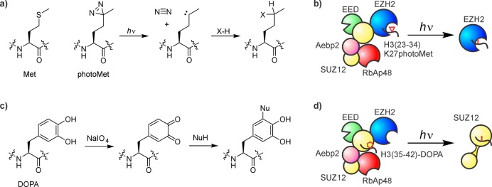 Figure 19