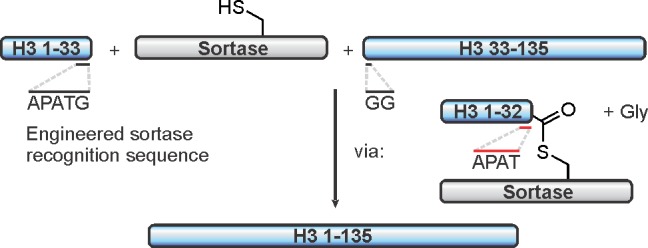 Figure 47