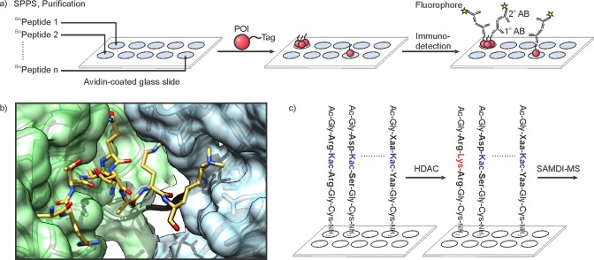 Figure 21