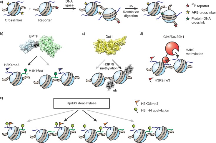 Figure 57