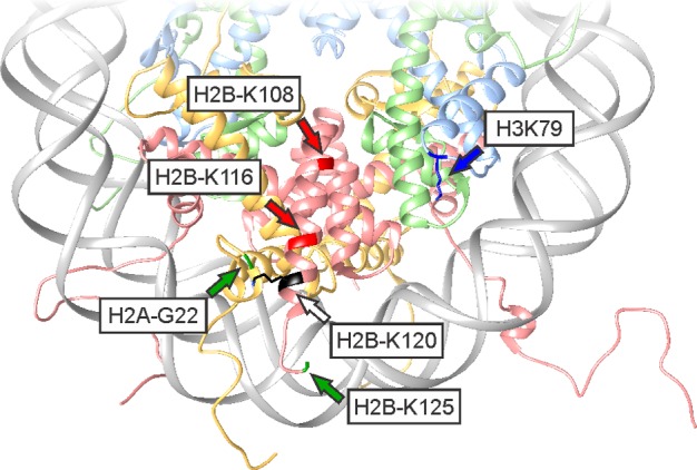 Figure 51