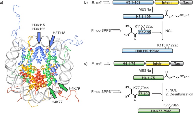 Figure 43